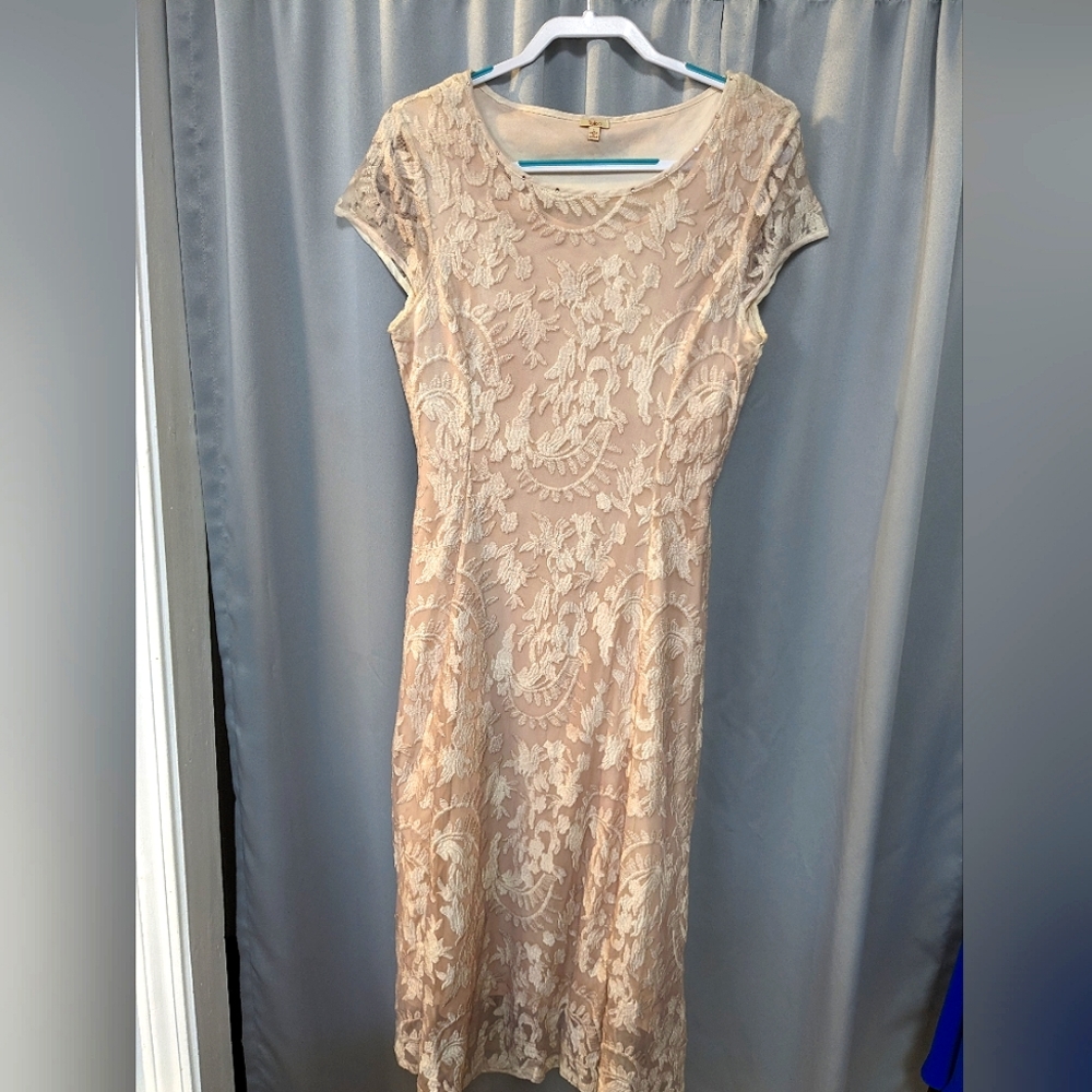 Reba Pale Pink Lace Overlay Dress
